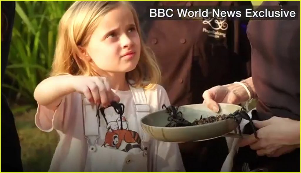angelina-jolie-eats-spiders-insects-with-her-kids-01