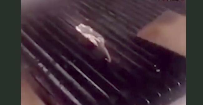 rat being grilled