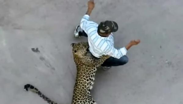 leopard attacking man in India